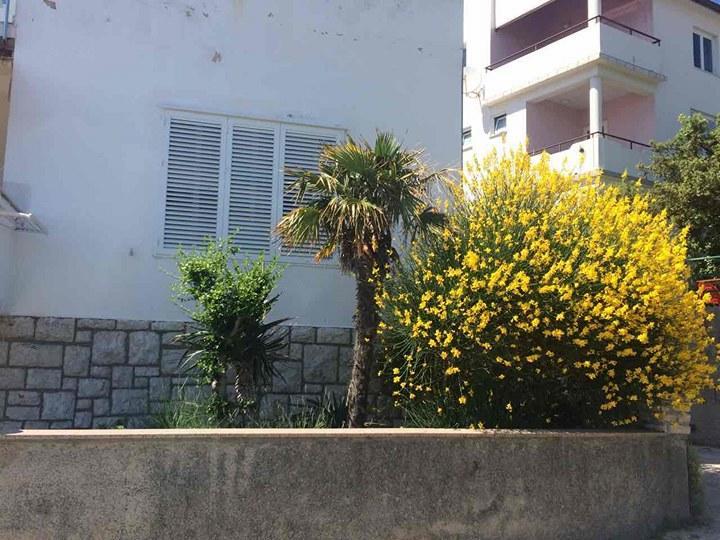 Apartment Ella Banjol Dış mekan fotoğraf